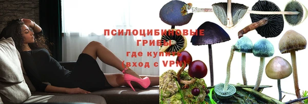 Альфа ПВП Богданович