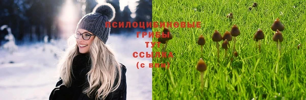 mix Богородск